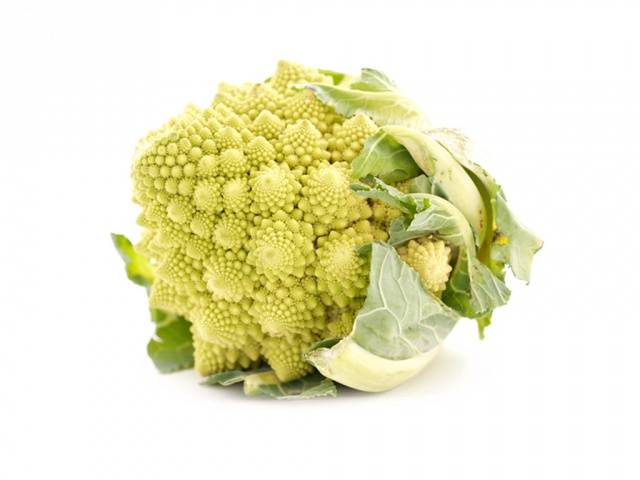 Romanesco cabbage variety