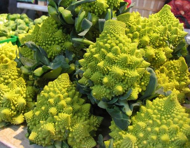 Romanesco cabbage variety