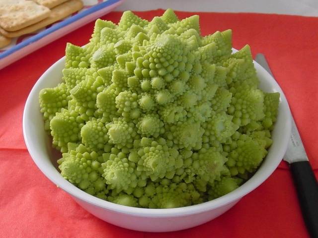 Romanesco cabbage variety