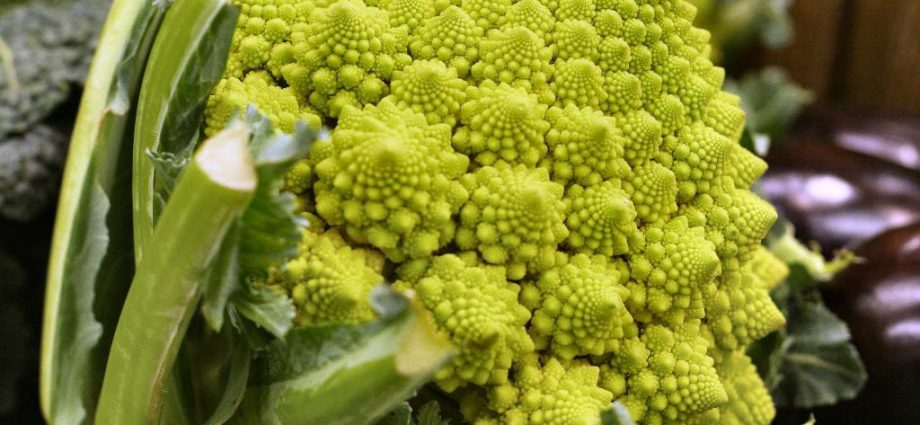 Romanesco cabbage variety