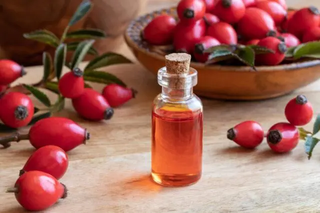 Rosehip oil: benefits and harms, instructions for use