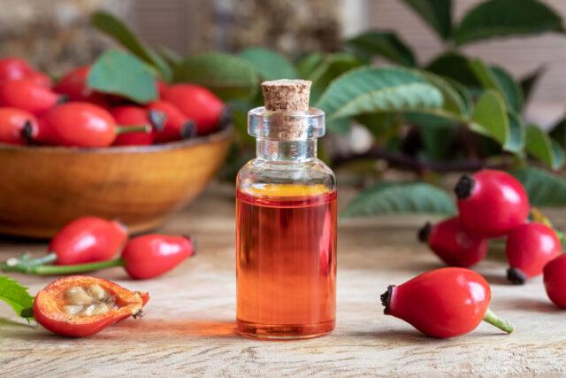 Rosehip oil: benefits and harms, instructions for use