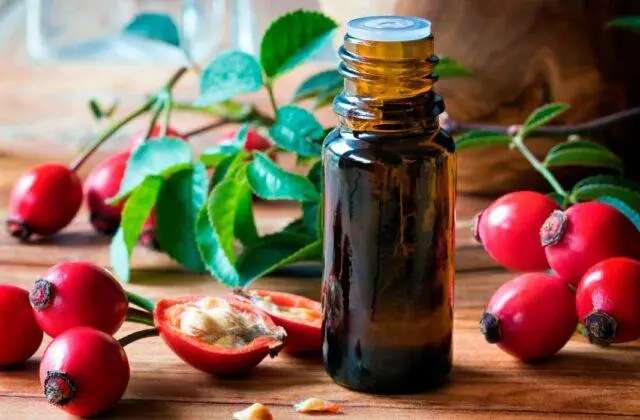 Rosehip oil: benefits and harms, instructions for use