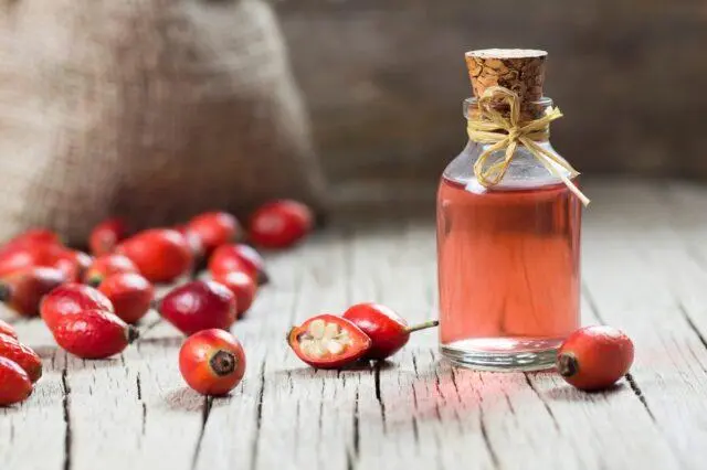 Rosehip oil: benefits and harms, instructions for use