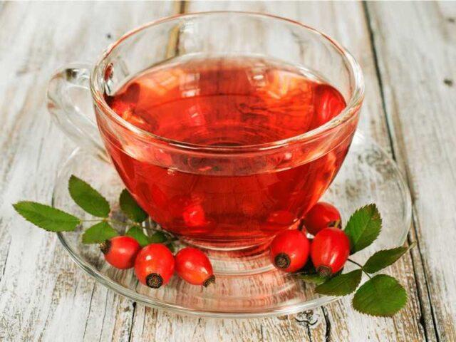 Rosehip tea: benefits and harms, how to cook, contraindications