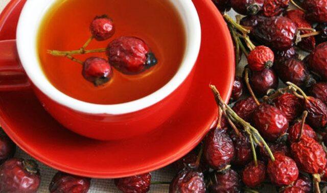 Rosehip tea: benefits and harms, how to cook, contraindications