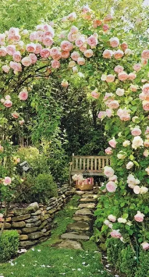 Roses in landscape design: an original garden with your own hands