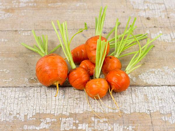 round carrot