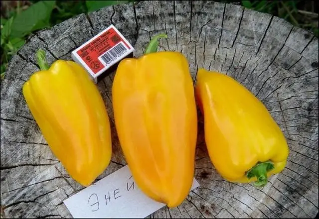 Round thick-walled peppers