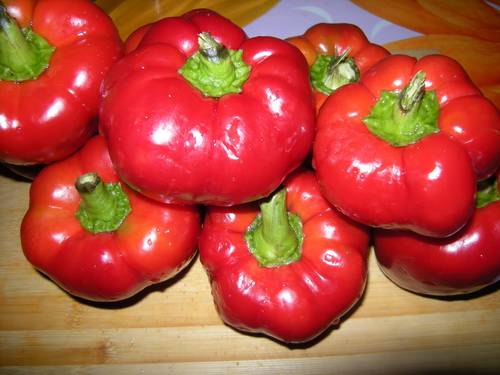 Round varieties of sweet pepper