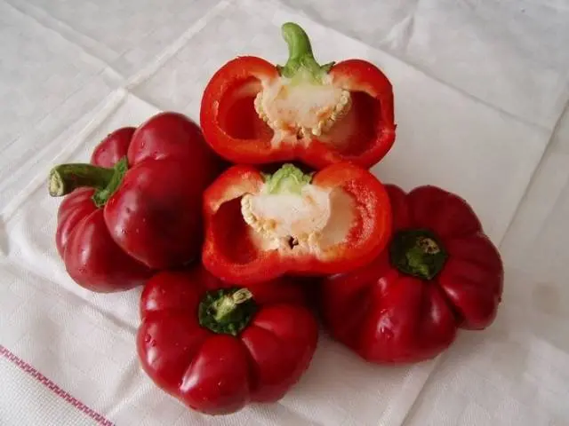 Round varieties of sweet pepper