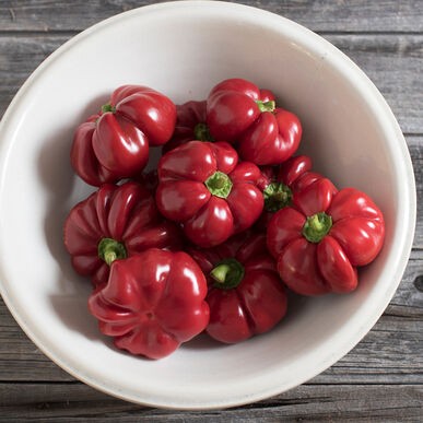 Round varieties of sweet pepper