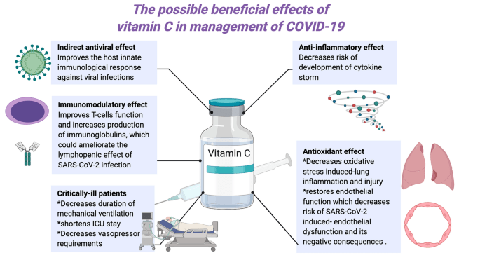 Routine and vitamin C for infections. How to protect yourself from disease?