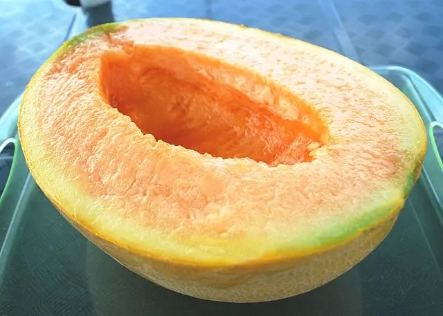 Royal Melon Yubari