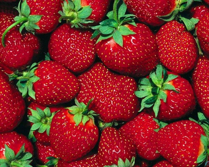 Rules for feeding strawberries in the spring with a video