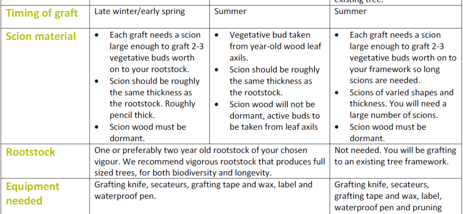 Rules for grafting pear on other trees and varieties