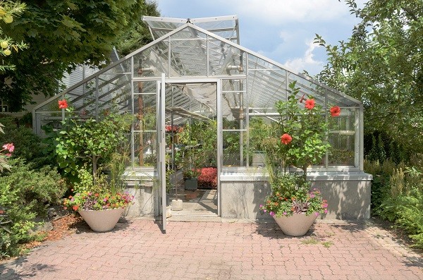 Rules for the location of the greenhouse on the cardinal points