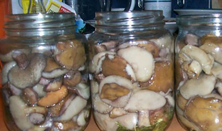 Russula marinated for the winter in jars: cooking recipes