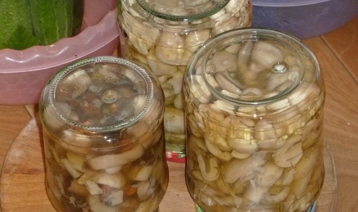 Russula marinated for the winter in jars: cooking recipes