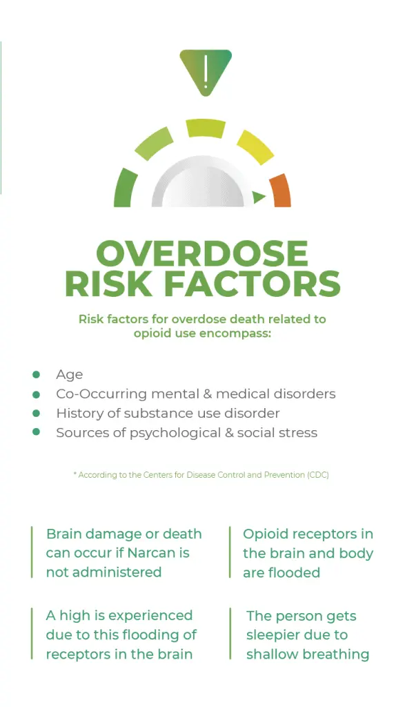 Rutoside &#8211; how does it work on the body? Can you overdose your routine? [WE EXPLAIN]