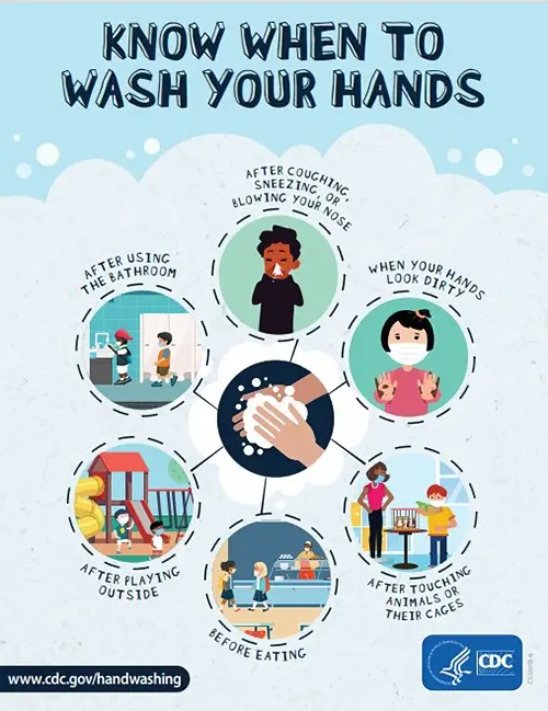 Safe and healthy washing &#8211; 10 rules you need to remember