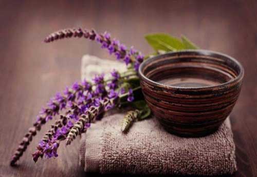 Sage: when to collect, in what conditions to store, useful properties