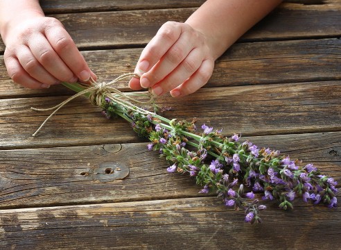 Sage: when to collect, in what conditions to store, useful properties