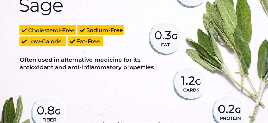 Sage: when to collect, in what conditions to store, useful properties