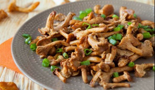 Salad with chanterelle mushrooms: with chicken, cheese, egg, beans