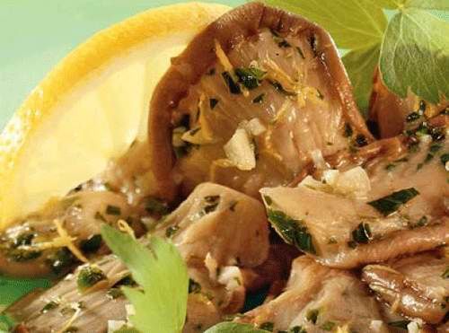 Salad with oyster mushrooms: simple cooking recipes with photos for every day and for the winter