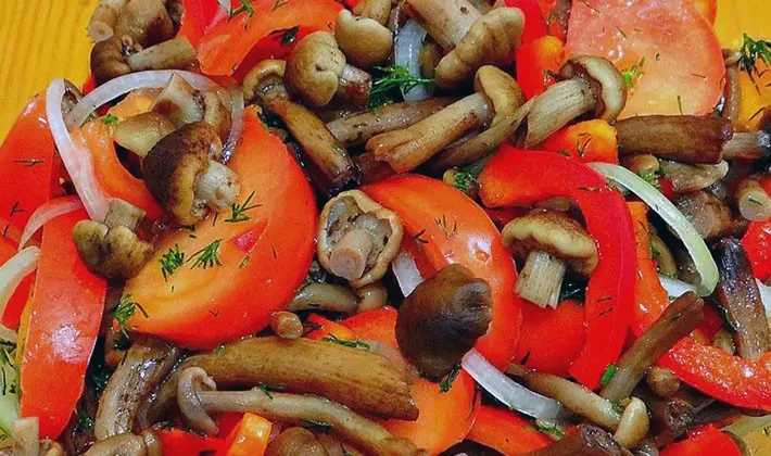 Salads with mushrooms: the best recipes