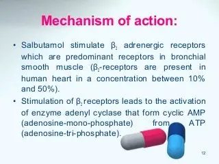 Salbutamol &#8211; action, indications, dosage. How is Salbutamol used?