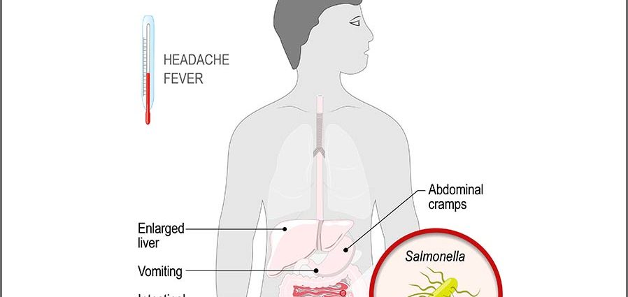 Salmonella causes salmonellosis