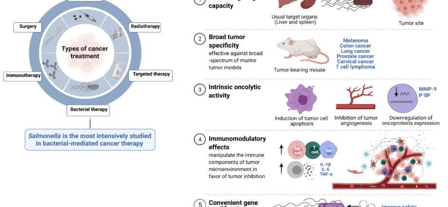 Salmonella will increase the body&#8217;s immune response to cancer therapies