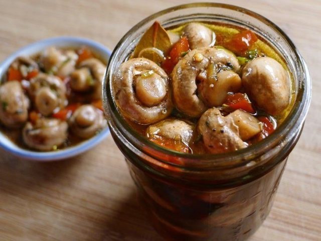 Salted champignons: delicious recipes for salting mushrooms for the winter in jars, without vinegar