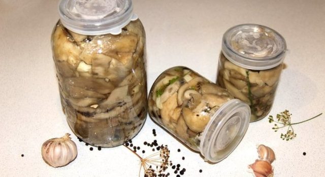 Salted crunchy milk mushrooms: recipes for winter pickling in a cold way, in jars