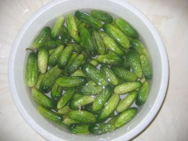 Salted Cucumbers &#8211; 5 Delicious and Easy Recipes