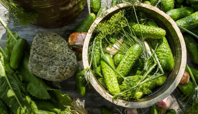 Salted cucumbers in hot brine