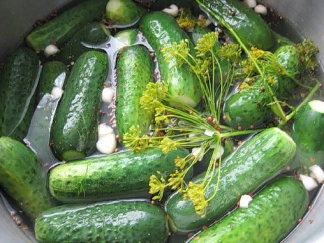 Salted cucumbers in hot brine