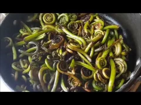 Salted fern salad: 12 recipes with photos