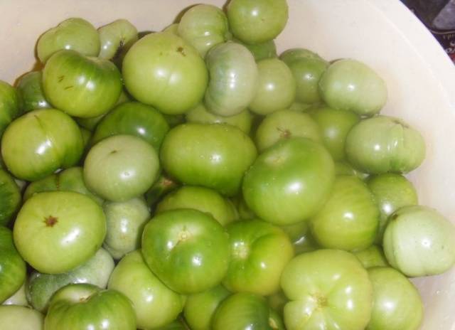 Salted green tomatoes for the winter in a cold way