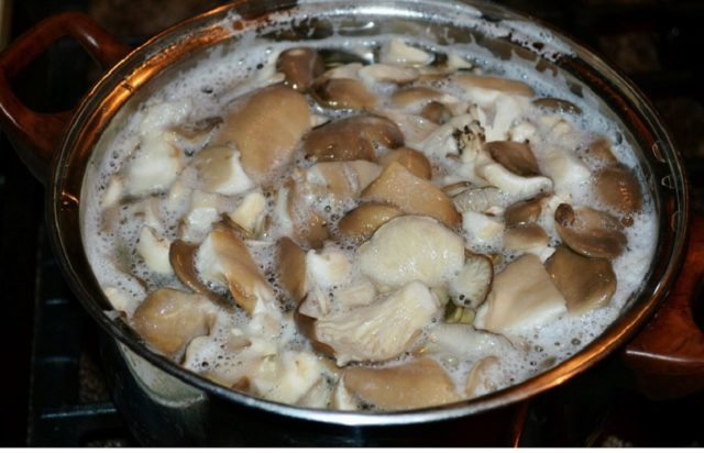 Salted milk mushrooms: what to do, how to save mushrooms