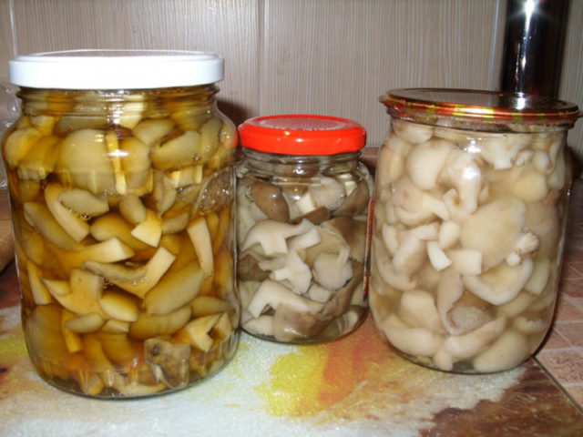 Salted mushrooms for the winter: recipes and salting rules