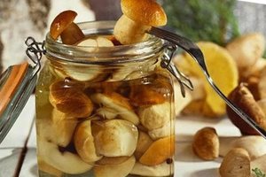 Salted mushrooms for the winter: recipes and salting rules