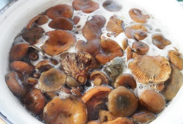 Salted mushrooms sour: what to do with mushrooms