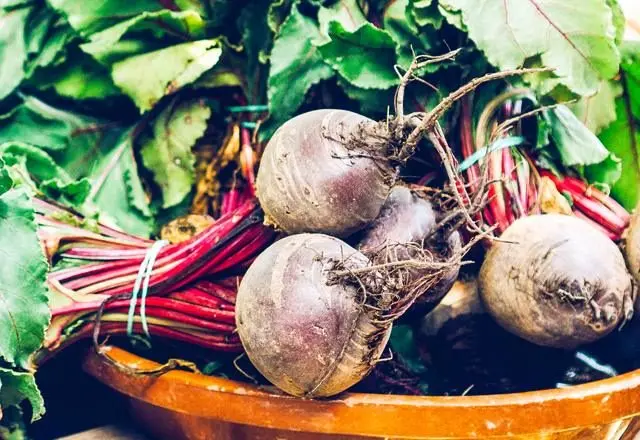 Salting beets for the winter: 8 recipes