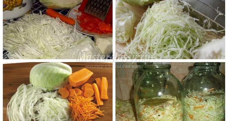 Salting cabbage for the winter: delicious recipes