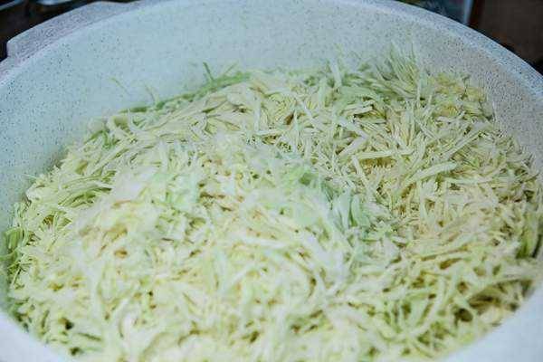 Salting cabbage in large pieces in a cold way