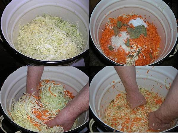 Salting cabbage in large pieces in a cold way