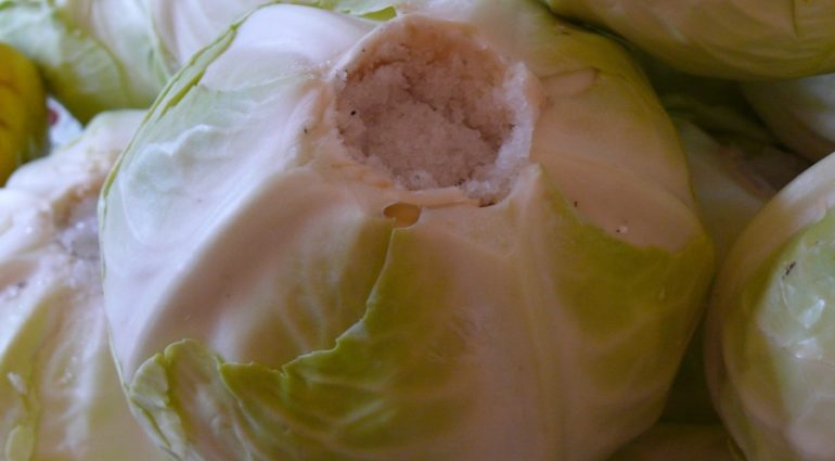 Salting cabbage in large pieces in a cold way